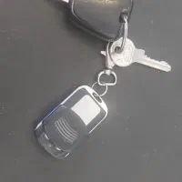 پیدا شده