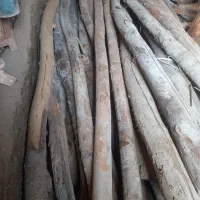 تیر چوبی برا سقف طویله