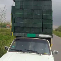 سلام وانت بار