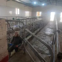 شیردوش گاو صنعتی|ماشین‌آلات صنعتی|اصفهان, شهرک صنعتی امیرکبیر (شاپور جدید)|دیوار