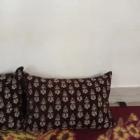 جلد بالشت درحدنو