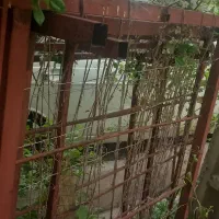 قفسه پرورش قارچ پروفیل