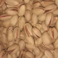 پسته اکبری درجه یک