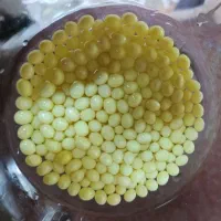 فروش حلزون آچاتینا برای حلزون تراپی|خزنده|ابهر, |دیوار