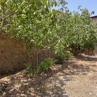 تاتر با زمین مازندران و ماشین انجام میشود|فروش زمین و ملک کلنگی|پردیس, واصفجان|دیوار