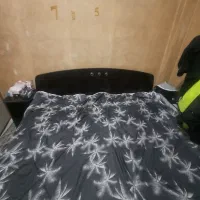 لوازم خانگی|فرش|کرج, حیدرآباد|دیوار