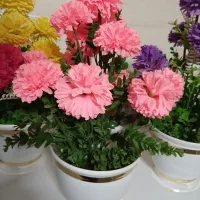 گل و گلدان داودی. ۷گل  مصنوعی|گل مصنوعی|بندر ترکمن, |دیوار