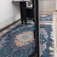 تلویزیون جی پلاس ۴۳ اینچ|تلویزیون و پروژکتور|میبد, |دیوار