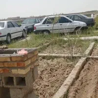 باغ پسته|فروش زمین و ملک کلنگی|بناب, |دیوار