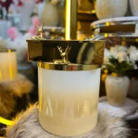 سطل وجا دستمال