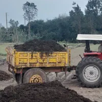 کودحیوانی گاوی گوسفندی برای گل وگیاه باغچه گل خانه