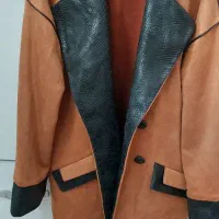 پالتو سوییت