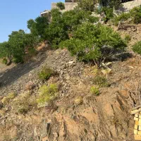 زمین فروشی در روستای خوش آب و هوای زشک|فروش زمین و ملک کلنگی|شاندیز, |دیوار