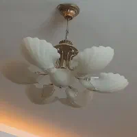 دوعدد لوستر زیبا