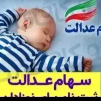 ثبت نام خودرو و سهام نوزاد و هدیه بیت رهبری