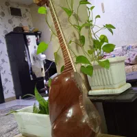 تار حرفه ای مناسب اجرا دست نوازنده و بسیار ایده آل|سازهای سنتی|شهریار, کردزار|دیوار