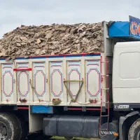 کود مرغی|خدمات باغبانی و درختکاری|رشت, چله خانه|دیوار