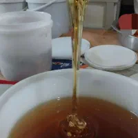 عسل طبیعی و تضمینی|خوردنی و آشامیدنی|علی‌آباد کتول, |دیوار