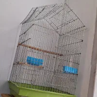 قفس پرنده