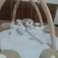 تشک بازی تدی