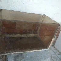 اکواریم
