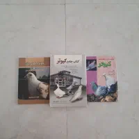 کتاب کبوتر