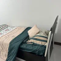 تخت یک نفره به همراه تشک و روتختی+میز کامپیوتر|تخت و سرویس خواب|ساری, |دیوار