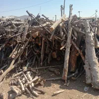 برش و خرید چوب