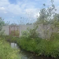 زمین-328-متر-با-پروانه-خمام-روستای-غلامرضا-باغ