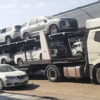 کارباسواریکش