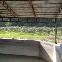 فروش-پرورش-ماهی