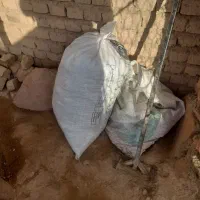 کود کبوتر