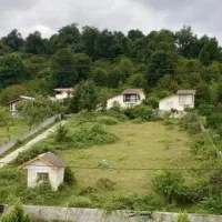 زمین-جنگلی-خوشقواره-پلاک-یک-جنگل-نور-نزدیک-جاده