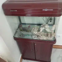 اکواریوم