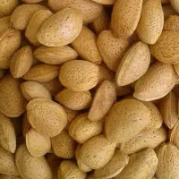 بادام شیرین خشکبار