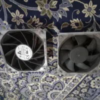 فن معمولی|قطعات و لوازم جانبی رایانه|گنبد کاووس, |دیوار