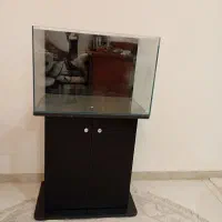 آکواریوم با پایه کاملا نو و اکبند