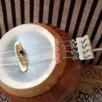 موسیقی|سازهای سنتی|شیراز, میرزاکوچک خان|دیوار