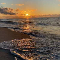 همسفر به جنوب