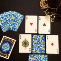 پاسور حکم ب ضمانت زیر قیمت همه جا|اسباب‌‌بازی|مشهد, طبرسی شمالی|دیوار