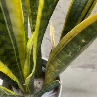 اجاره اتاق برای مشاوره