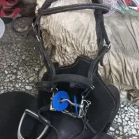 زین اسب|اسب و تجهیزات اسب‌سواری|مرند, |دیوار