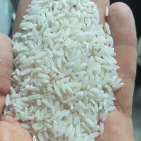 برنج درجه یک