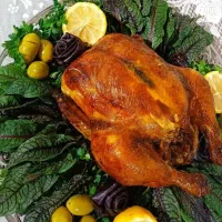 فرکار مرغ بریان هستم