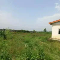 فروش فوری زمین متراژ ۱۰۰۰متر دوردیوارجهت ساخت‌وساز