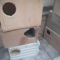 انواع لانه|پرنده|شیراز, شریفآباد|دیوار