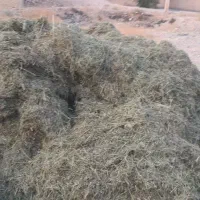 یونجه فله با کیفیت