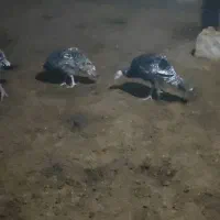 به علت تغییر شغل