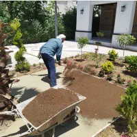 فروش کود دامی پوسیده|خدمات باغبانی و درختکاری|محمدشهر, علی آباد گونه|دیوار