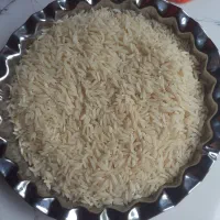 فروش برنج هاشمی خالص